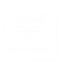 icone redes logicas.png